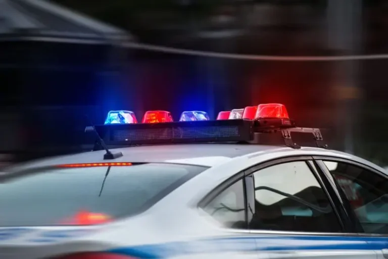 Police car speeds by with flashing red and blue lights, background blurred.