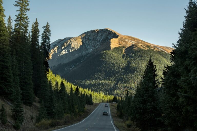 Insurance in California